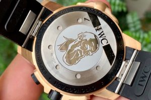 V6厂万国达尔文探险旅行复制手表值得入手吗？插图5