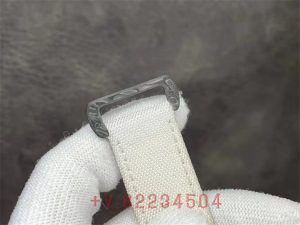 n工厂碳纤维迪通拿怎么样（站西n工厂碳纤维4130机芯版迪通拿怎么样？）插图9
