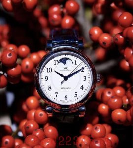 TWC出品 IWC达文西 IW459306 蔚蓝星空，诗意月相怎么样插图5